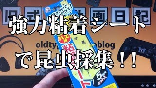 強力粘着シートで部屋の虫を捕る！(怒)
