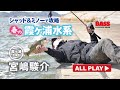 【宮嶋駿介】ミヤシがシャッド&ミノーで春の霞ヶ浦水系を攻略!【霞ヶ浦・北浦水系】
