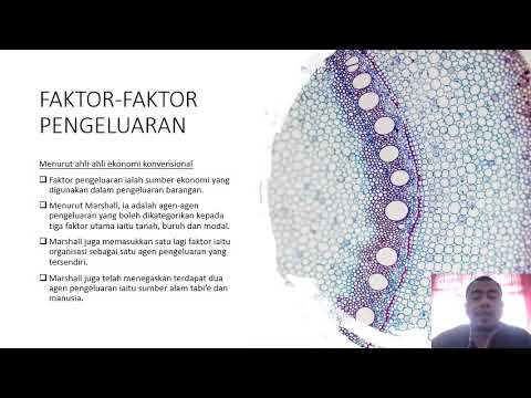 Ctu241 Topik 5 Konsep Pengeluaran Dalam Islam Youtube