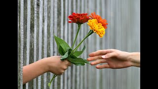 Texto diario jueves 19 de noviembre de 2020.   Examinando las escrituras diariamente