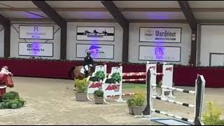 AGANOUS *2017 Aganix du Seigneur x Cassini , Holstein , CSI Peelbergen 