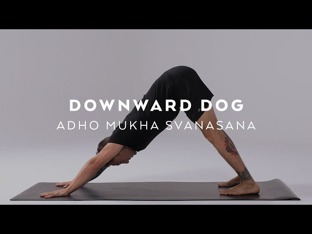 Arm rotation in Downward Facing Dog - Ekhart Yoga