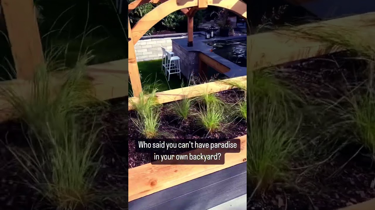 Modern koi pond with viewing window and custom pergola 