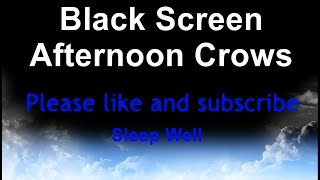 Black screen Afternoon crows