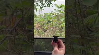 Tesla Model 3/Y/X/S | Retractable Side Window Privacy Sunshades #sunshade #tesla