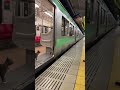 終電に滑り込む猫と、それを見守り応援する駅員さん🐱6