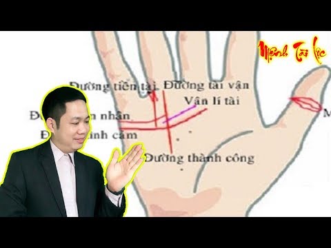 10 Đường Chỉ Tay GIÀU SANG, PHÚ QUÝ Có Vận May Trúng Lớn Bất Ngờ Đổi Vận | Mệnh Tài Lộc.
