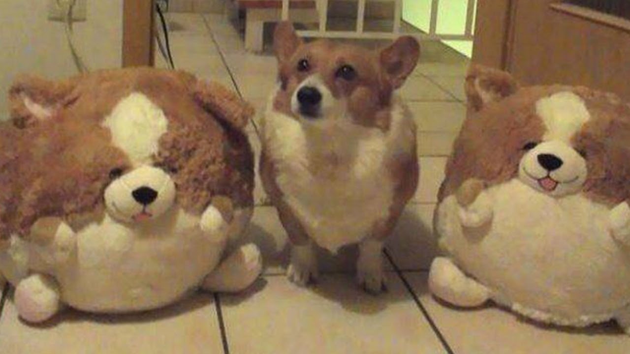 You mocking me. You mocking me