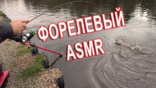 БЛУДНЫЙ КОТ - Форелевый ASMR