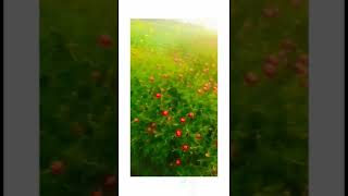 kabhi sam Dale to mere dil me aa jana