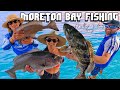 MORETON BAY FISHING | bottom bashing, double hookups, squid &amp; fish being &quot;scaled&quot; underwater...?