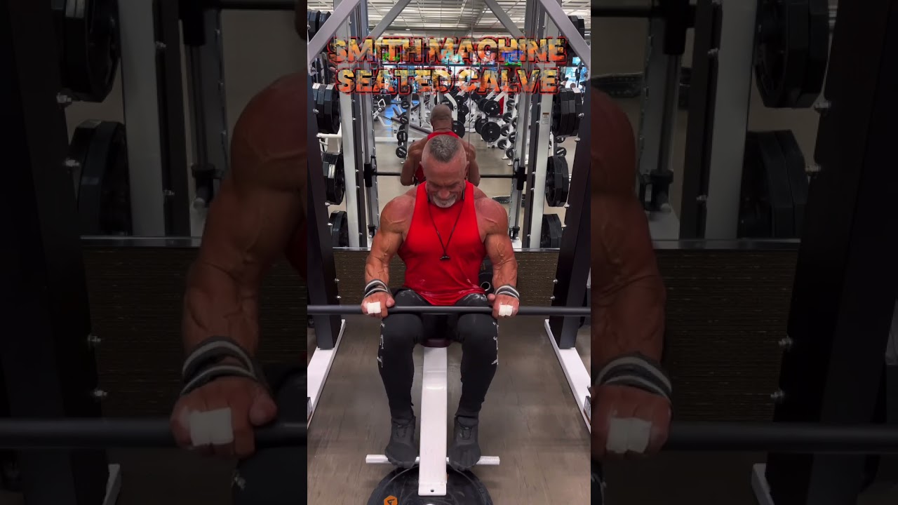 CALVES SMITH MACHINE SEATED CALVES #workout #muscle #motivation #pump #exercise
