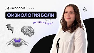 Нормальная физиология | Физиология боли