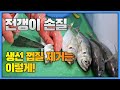 [전갱이 손질은 이렇게(구독도 부탁)!!!] 전갱이 껍질 쉽게 벗기는 방법 대공개! 아무도 가르쳐 주지 않는 노하우. Horse mackerel sashimi.