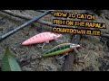 How to catch fish on the Rapala Countdown Elite