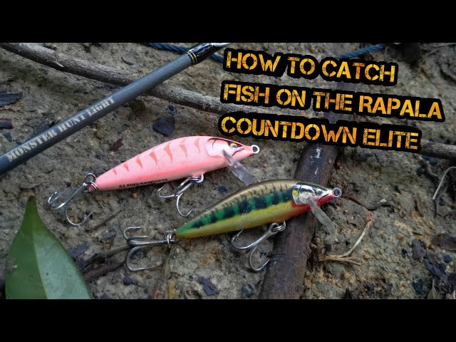 How to catch fish on the Rapala Countdown Elite 