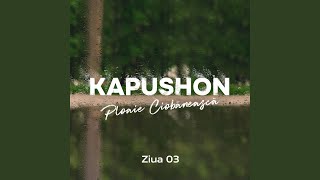 Spune-mi, mare (feat. Nicu Tarna) - Kapushon