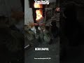 kebiasaan berkumpul keluarga kucing
