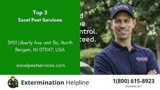 Top 3 Exterminators in Webster
