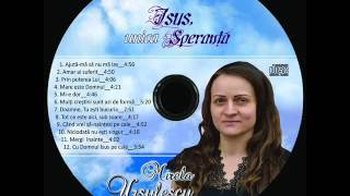 AMAR AI SUFERIT- Mirela Ursulescu, nr.2, vol.4