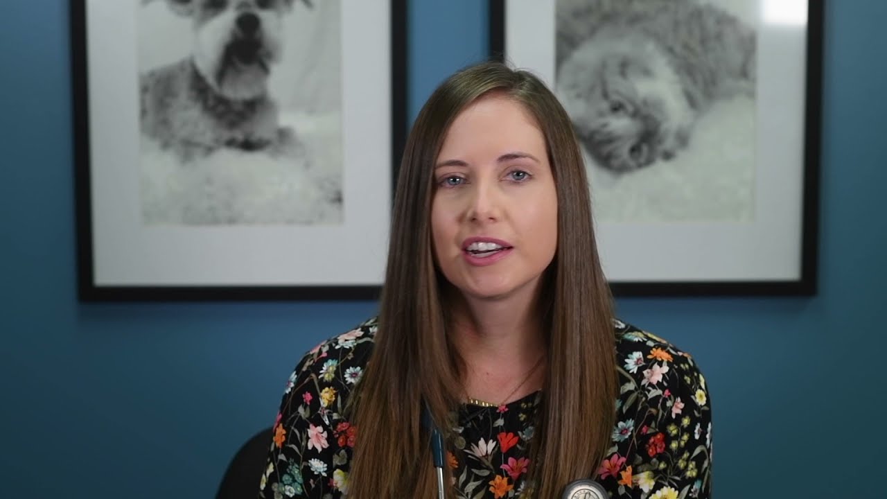 Meet the Specialist - Dr. Brigitte McAtee, Veterinary Internist