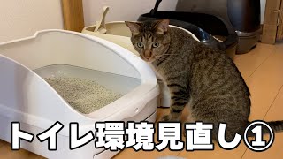 トイレ環境見直し①猫が好む猫砂の種類はどれ木製・おから・鉱物系で検証してみました