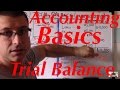 Accounting for beginners 22  trial balance unadjusted  accounting basics