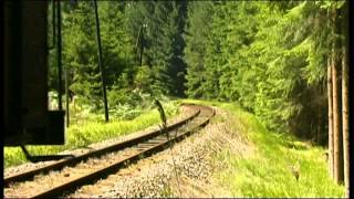 Wackelstein Express Steam Train Running In Scenic Landscape
