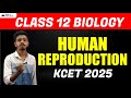 Human Reproduction Chapter Video | KCET 2025 Biology | BSc Nursing in Karnataka | KEA