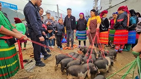 Đưa bà Tân Vlog ăn gà đen mèn mén Chợ Phiên Mèo Vạc toàn món ngon. Nguyễn Tất Thắng