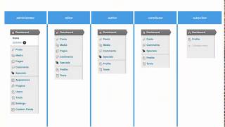 User Role or Responsibilities in WordPress with Full Detail in Urdu/Hindi