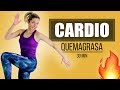 Rutina Cardio Todo el Cuerpo 30 minutos Quema Grasa Cardio Full Body para principiantes