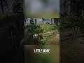 [Ranger's Path: National Park Simulator] Rock Fall Camp Restoration, Back from Ruin!