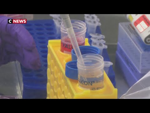 Coronavirus: un laboratoire lyonnais mobilisé pour trouver un traitement Coronavirus: un laboratoire lyonnais mobilisé pour trouver un traitement