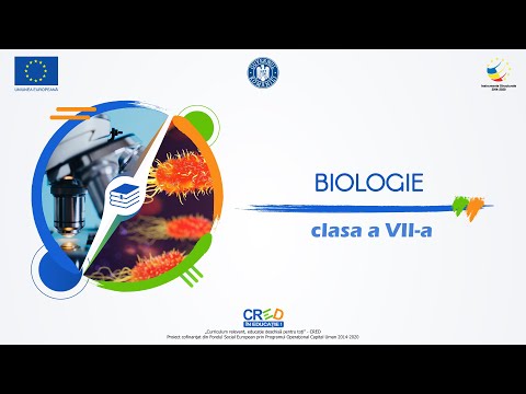 Elemente de igienă și de prevenire a îmbolnăvirilor – igiena vieții intelectuale și a sist. nervos