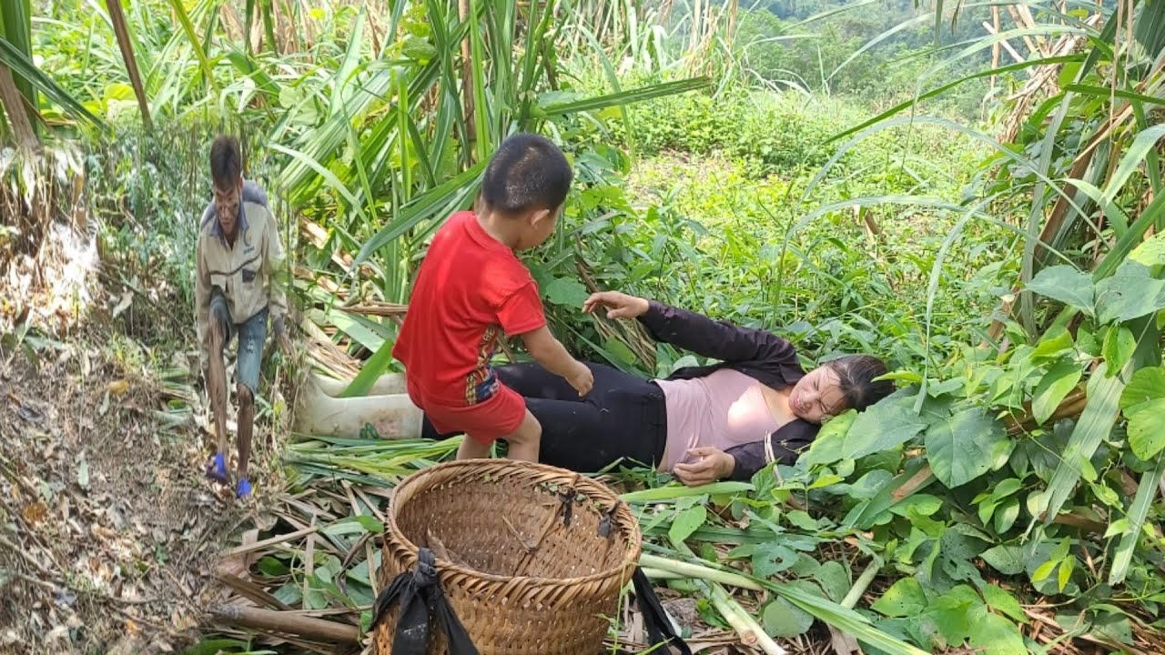 Mother and son went to the forest to dig cassava and were chased by a ...