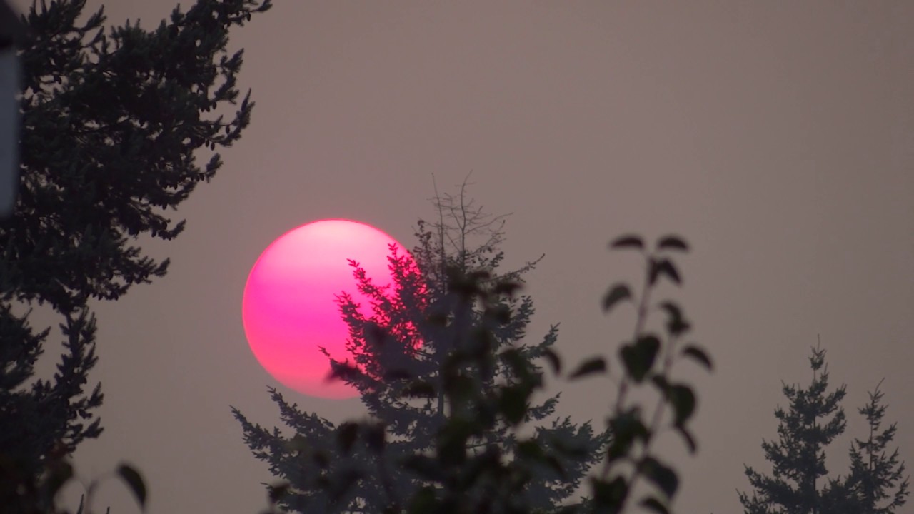 The Rising Red Sun In Canada! Kudo Drive YouTube