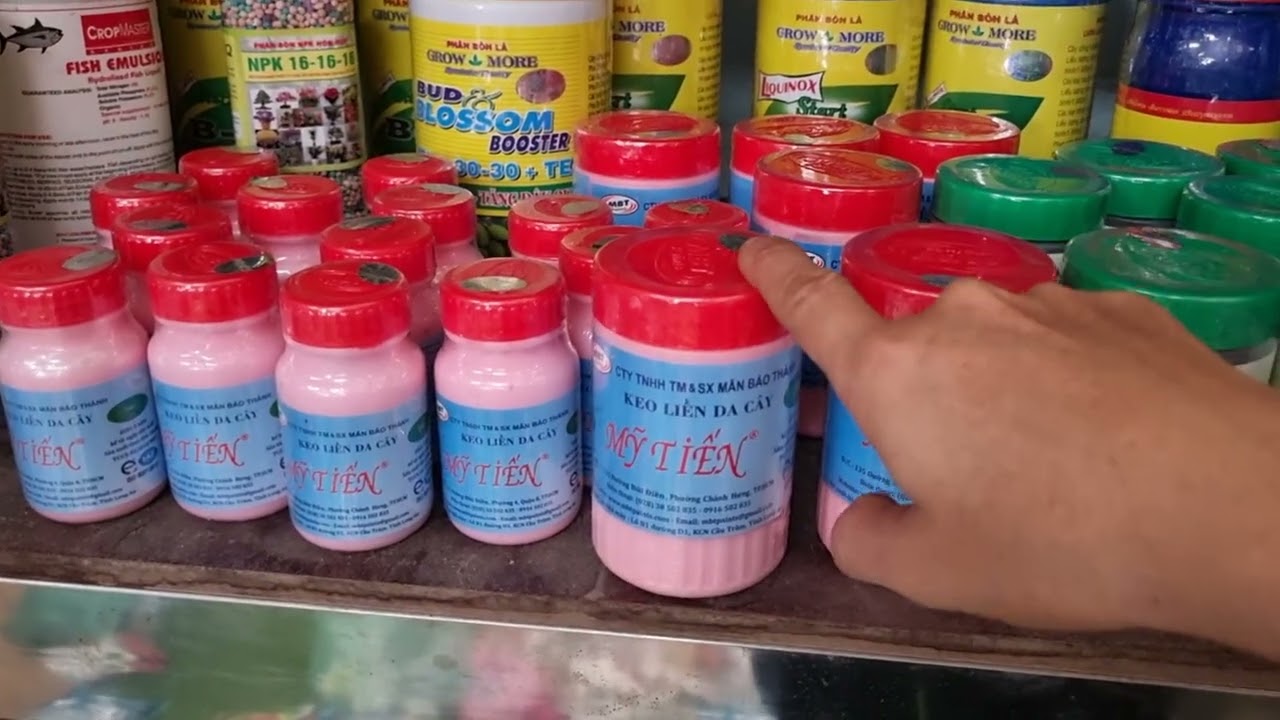 Keo liền da cây mỹ tiến hồng. Keo liền da cây mỹ tiến đen super