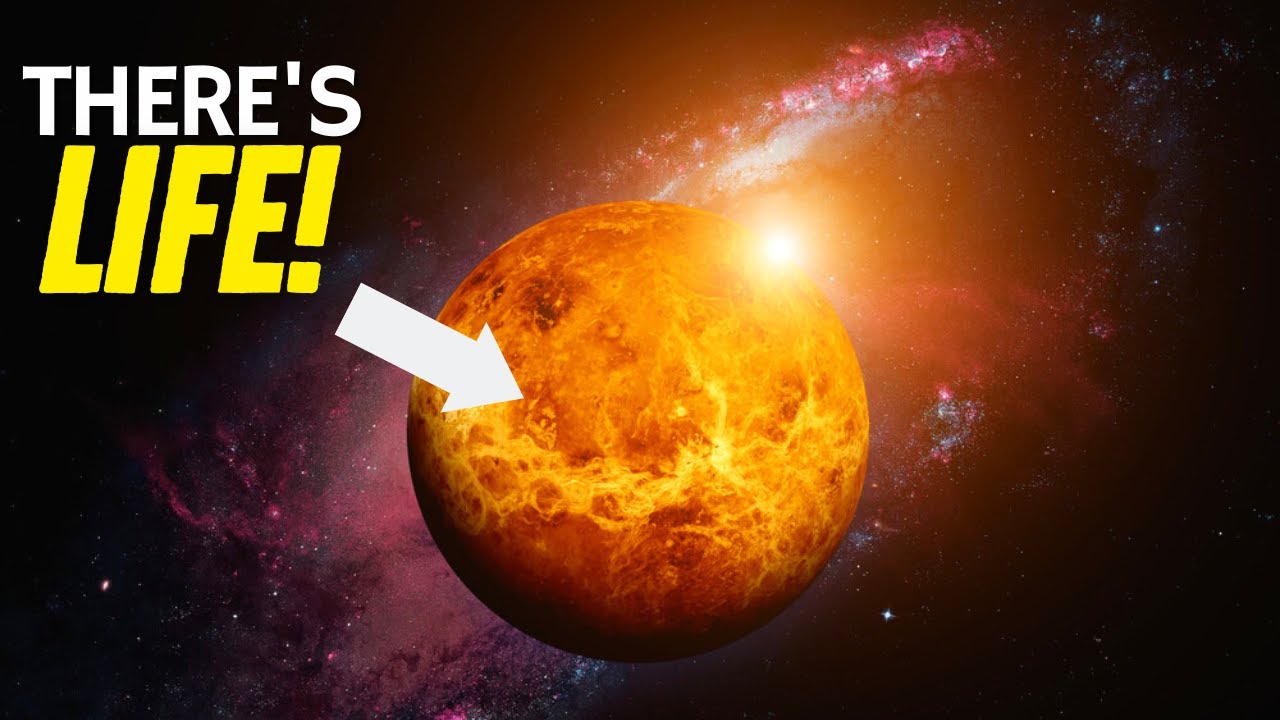 What Did NASA Discover in Latest Photos from Venus