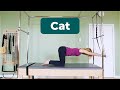 Cat On Trapeze Table Cadillac⎠Pilates Encyclopedia Cat On Trapeze Table Cadillac⎠Pilates Encyclopedia