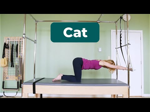 Cat on Trapeze Table/Cadillac⎮Pilates Encyclopedia