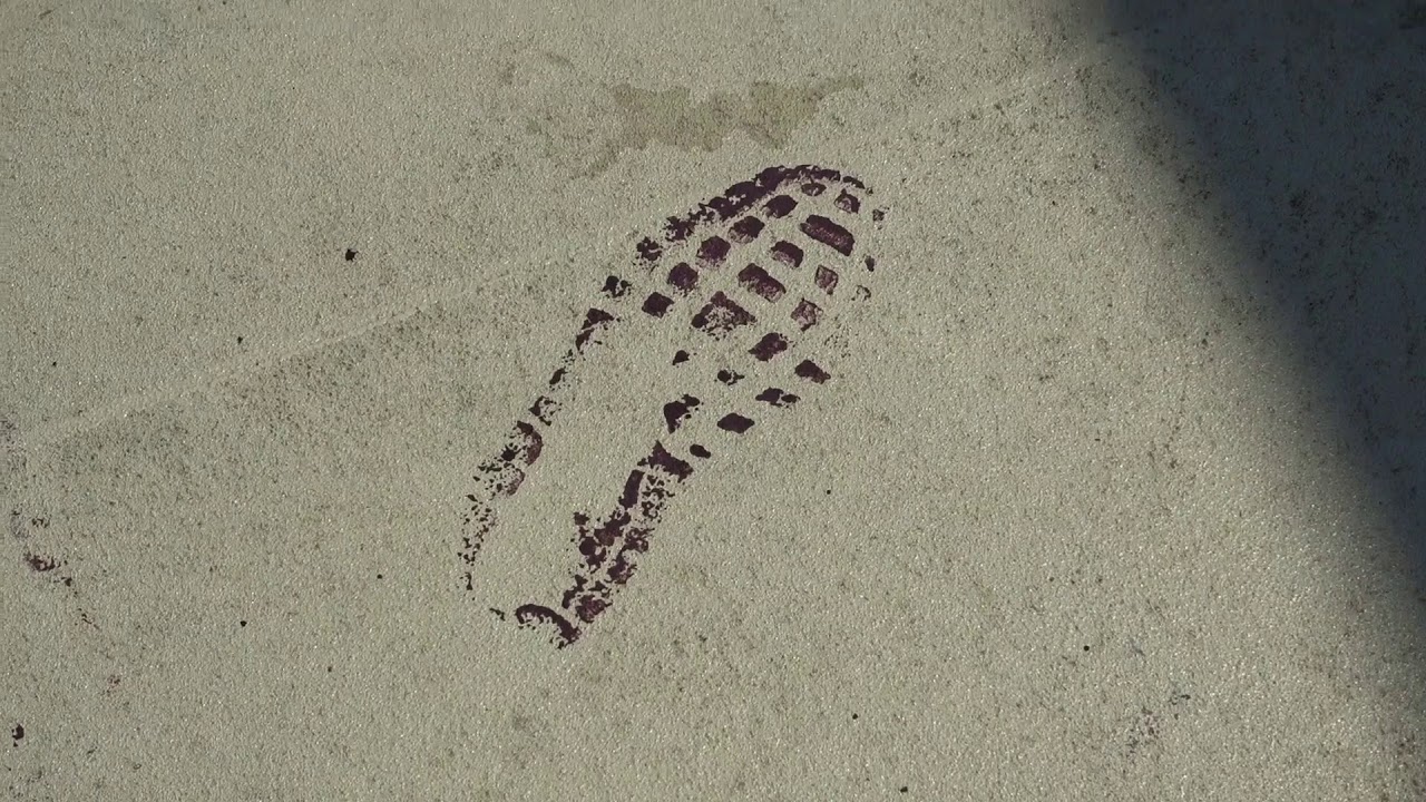 1UP - Unseen efforts behind the colors of Berlin