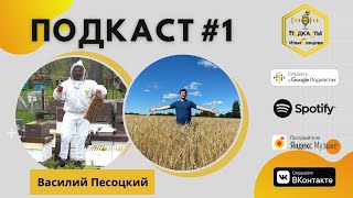 Аудиоподкаст #1: Василий Песоцкий об адаптации системы И.Степплера, курсах сомелье и воровстве