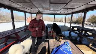 Mabel Testimonial Video