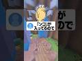 人気アニメは動物の名前が入ってる? #あるある #アニメ #大喜利