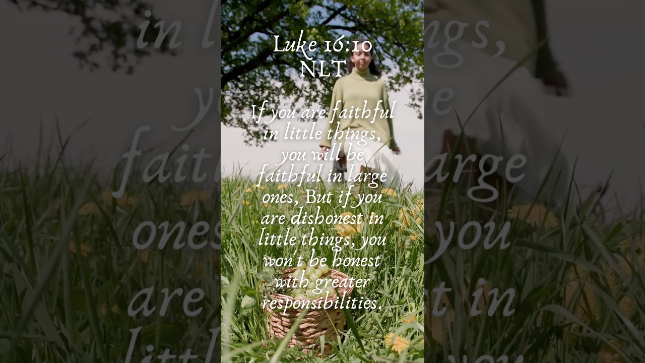 Daily Inspiration from Luke 