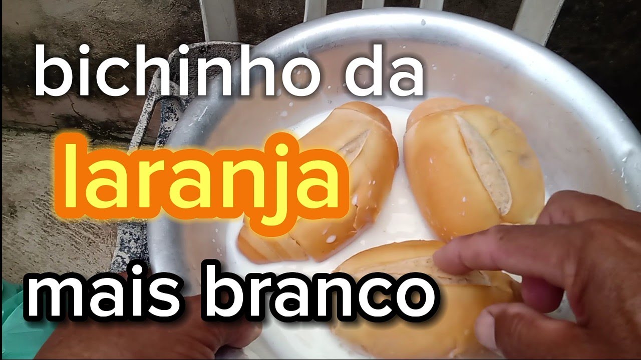 ✅ Como deixar bichinho da laranja mais  branco para pescar . 