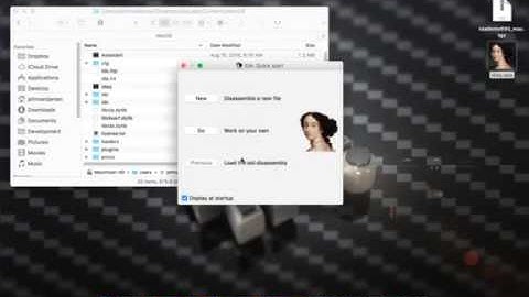 Disassemble IDA Disassembler Demo Using Itself