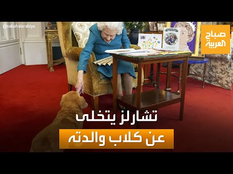 بعد رحيل الملكة إليزابيث الملك تشارلز يتخلى عن كلاب والدته