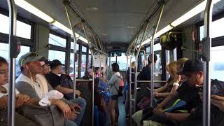 MTA Bus: On Board Flushing bound Orion VII NG 4488 Q50 via Whitestone Bridge